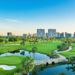 Image of Gold Sponsor