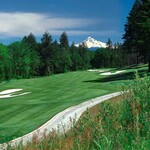 Image of Sponsor a Hole