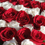 Image of Breakfast Sponsor