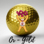 Image of Commanditaire Or -  Gold Sponsor 