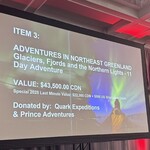 Image of GALA SPONSOR: LIVE AUCTION - 10K  includes 4 gala tickets