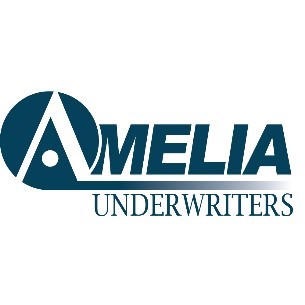 Amelia Underwriters