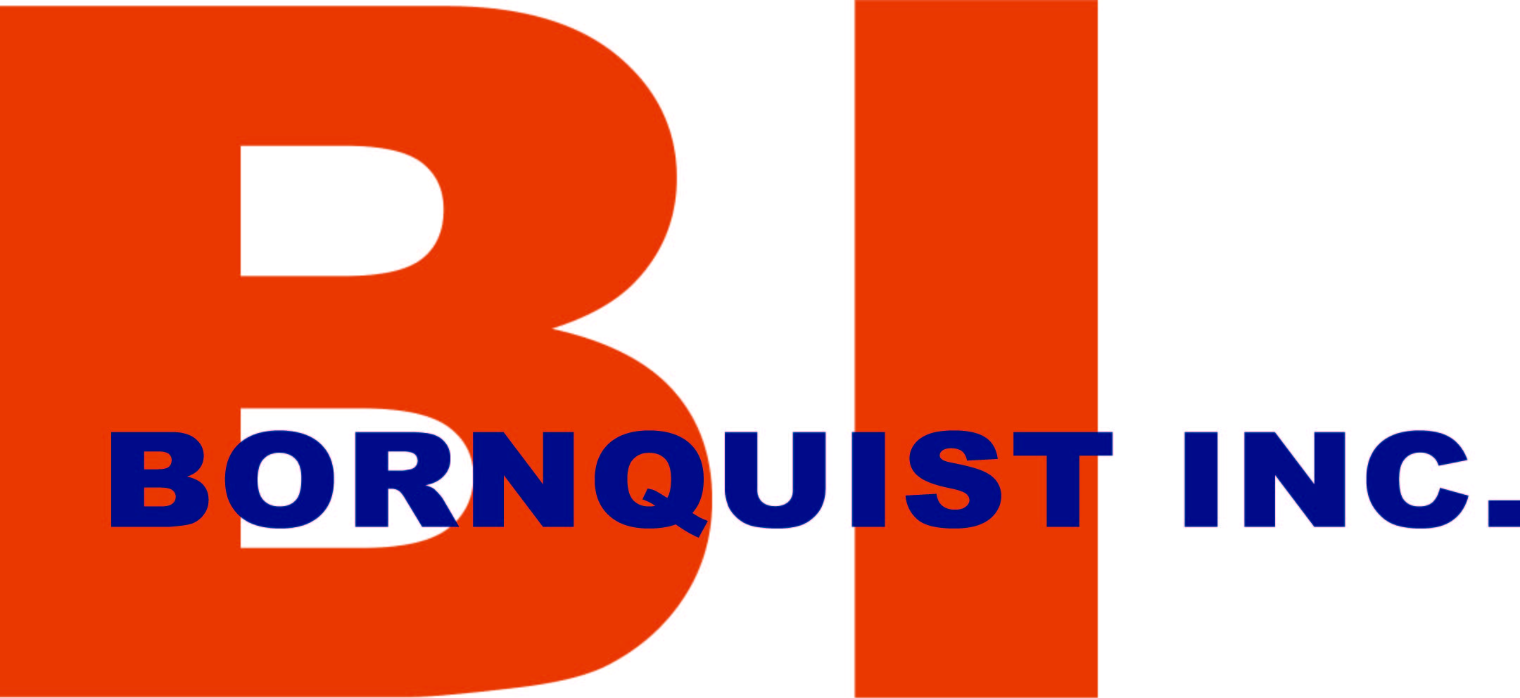 Bornquist Inc