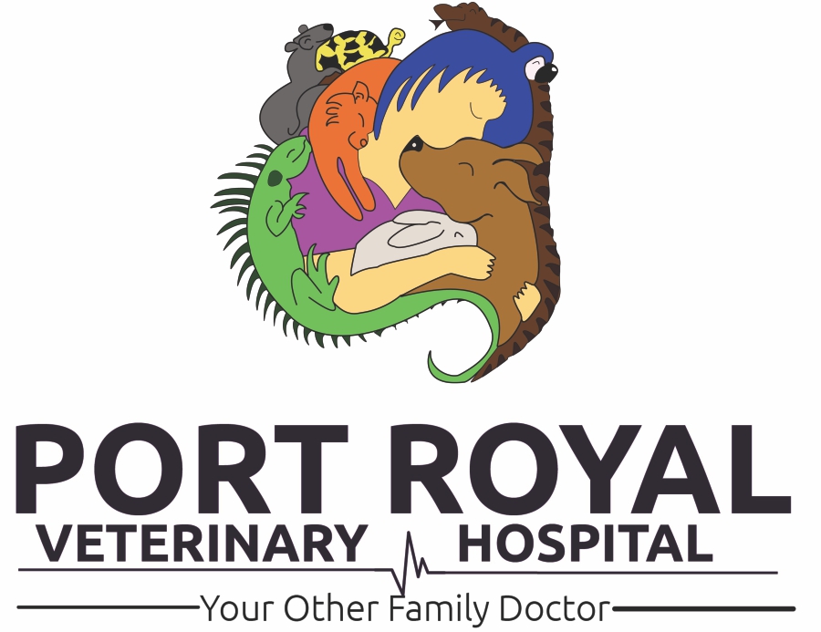 Port Royal Veterinary Hospital