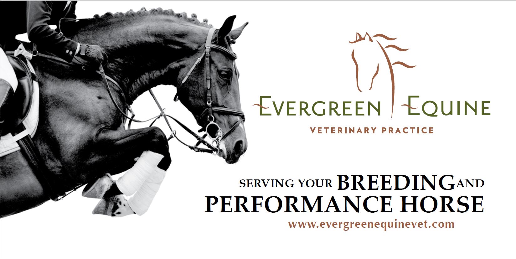 Evergreen Equine 