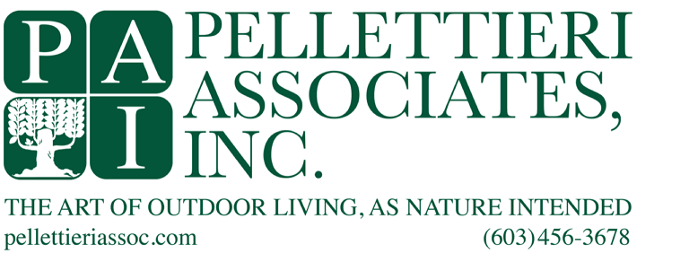 Pellettieri Associates