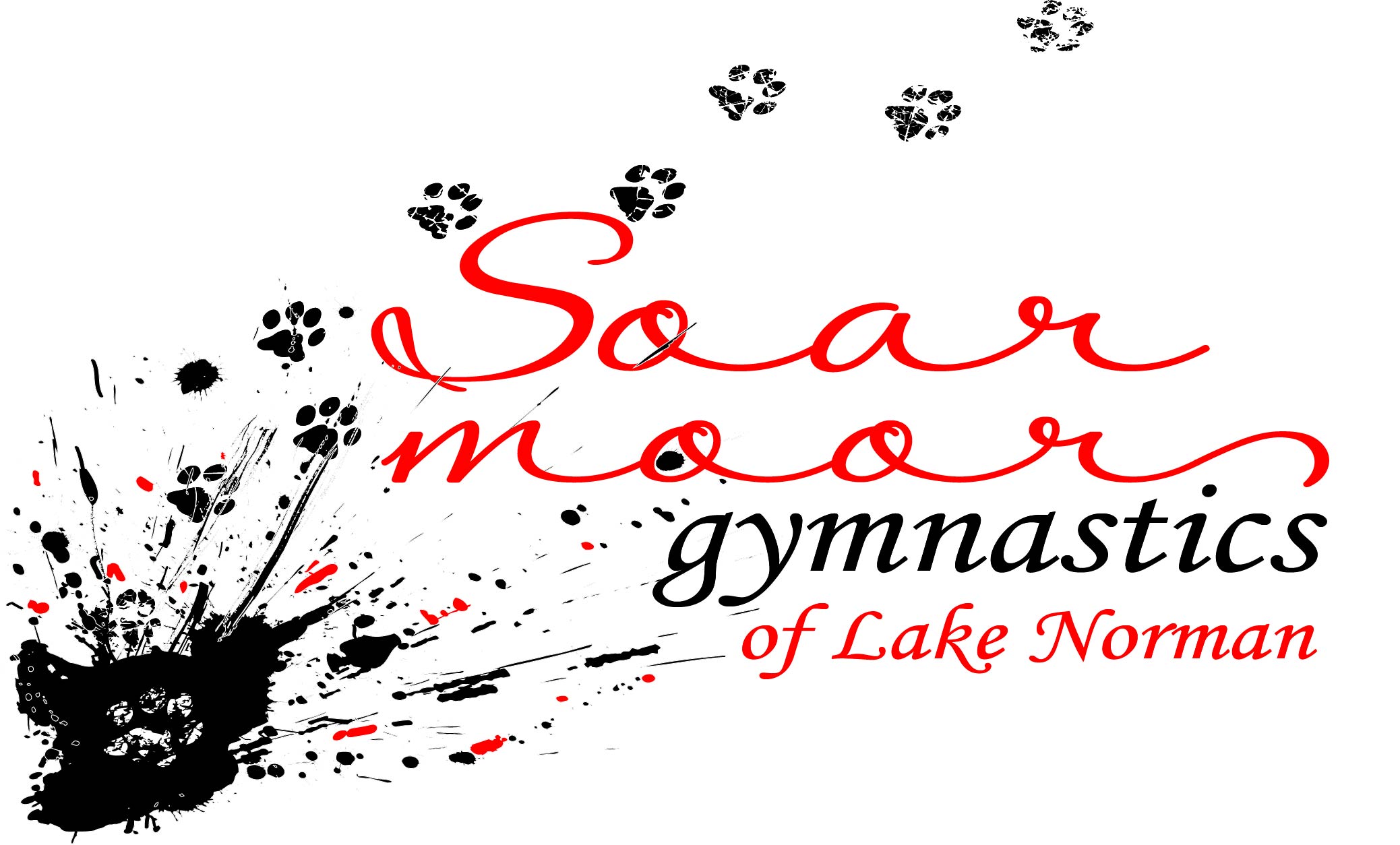 Soar Moor Gymnastics of Lake Norman