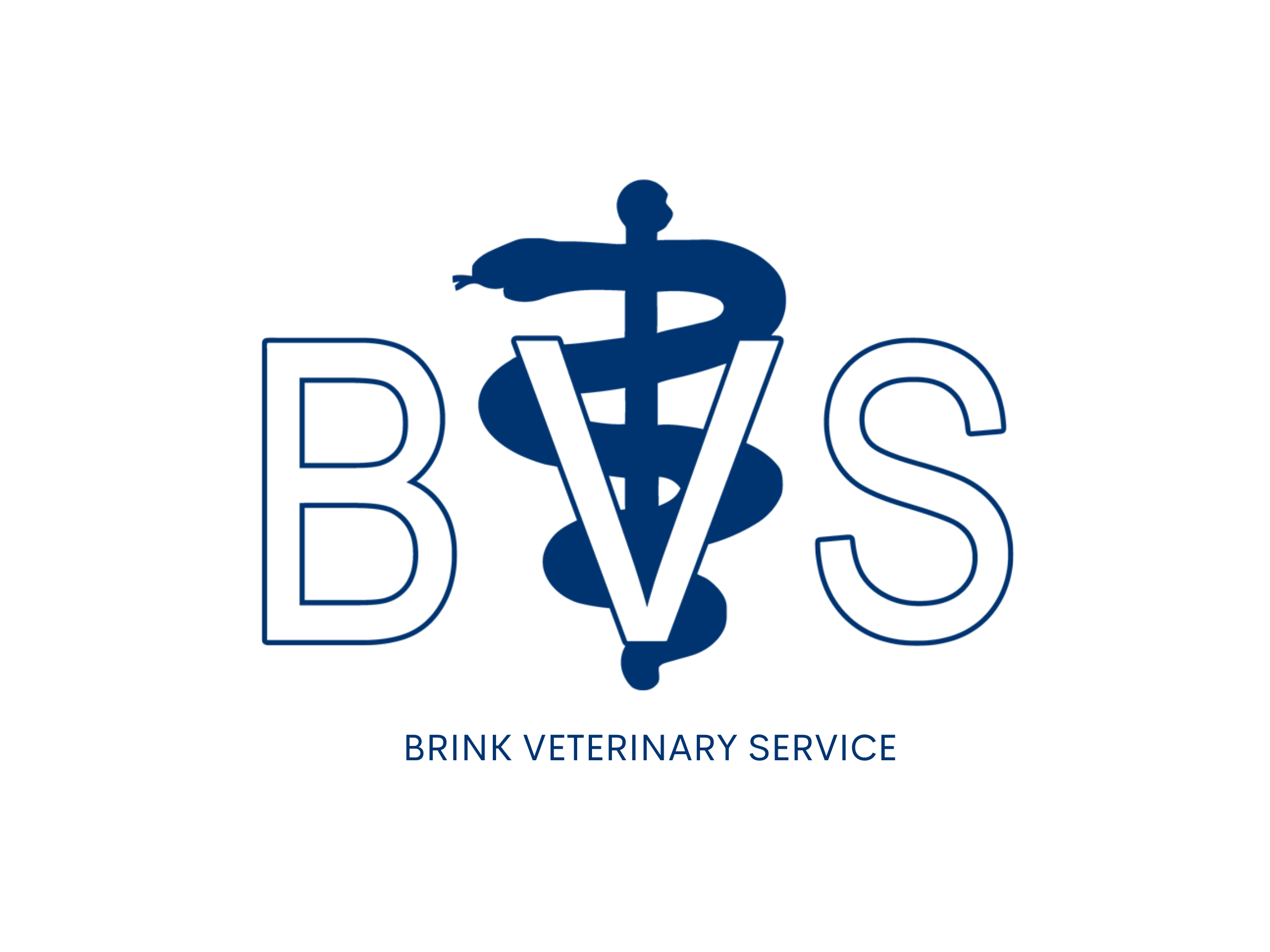 Brink Veterinary Service